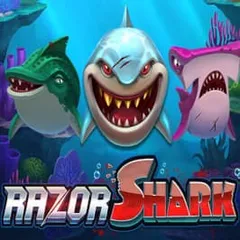 Razor Shark — PlayMojo Casino pokie